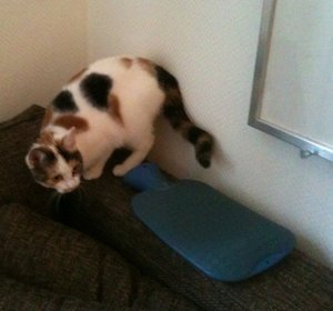 Bildschirmfoto 2011-10-22 um 16.00.14.jpg