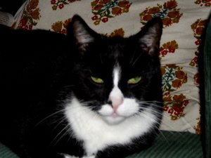 homesweethome 045.jpg