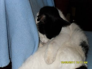 Mütze 2 009 [800x600].jpg