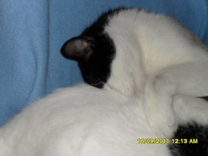 Mütze 2 012 [800x600].jpg