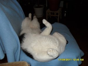 Mütze 2 013 [800x600].jpg