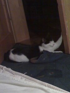 no name 005 [800x600].jpg