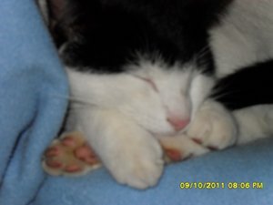 Mütze Herbst 002 [800x600].jpg