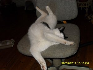 Mütze's Abendessen 008 [800x600].jpg