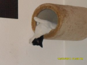 kuschelhöhle 002 [800x600].jpg