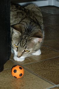 Matschen bei Tine 055.jpg