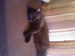 Fenj. nah schlafend.JPG