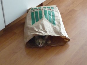 Kopie von P1010608.jpg