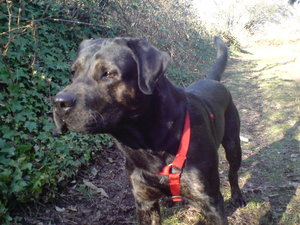 bilderbilder 022.JPG