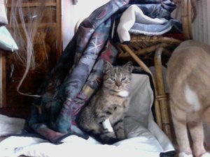 Foto am 28-10-2011 um 15.09.jpg