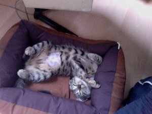 Foto am 29-10-2011 um 16.40.jpg