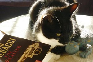 gebildeter Kater 019.jpg