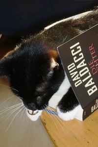 gebildeter Kater 028.jpg