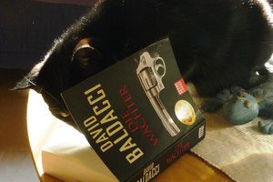 gebildeter Kater 025.jpg