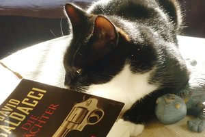 gebildeter Kater 018.jpg