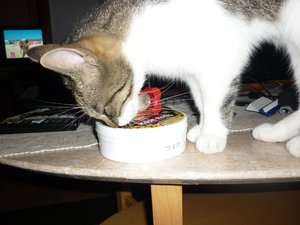 Gammelsonntag 010.jpg