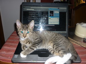 bitte Platznehmen 003.jpg