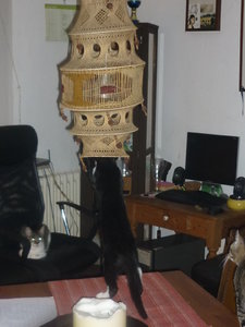 So26.09.2010 (2).jpg