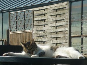 Ein Frühlingssonntag 023.jpg