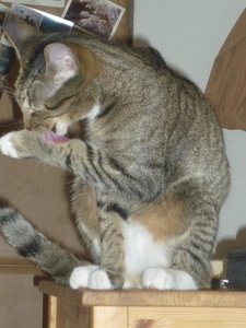 Februar 2011 014.jpg