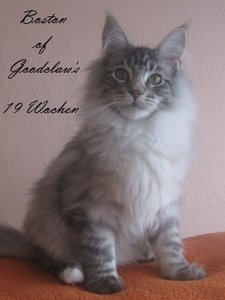 Boston 6 Monate (6).JPG