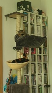 WhatsApp Image 2023-02-08 at 11.20.08.jpeg