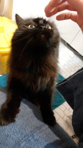 WhatsApp Image 2023-02-18 at 11.19.24.jpeg