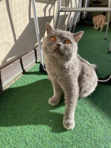 D45C2F57-805A-42A5-895A-967A3F13942A.jpeg D45C2F57-805A-42A5-895A-967A3F13942A.jpeg