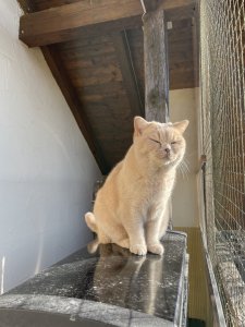 BD733417-062A-4499-A3C2-907C86FFE618.jpeg BD733417-062A-4499-A3C2-907C86FFE618.jpeg