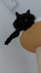 WhatsApp Image 2023-02-23 at 15.41.21.jpeg