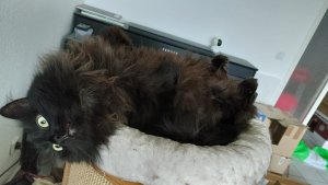 WhatsApp Image 2023-02-23 at 15.15.16.jpeg