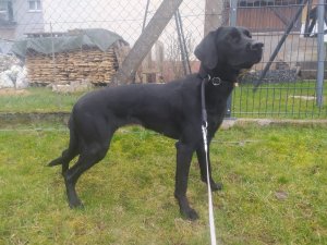 WhatsApp Image 2023-03-05 at 09.57.17.jpeg