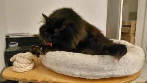 WhatsApp Image 2023-03-05 at 22.16.02.jpeg