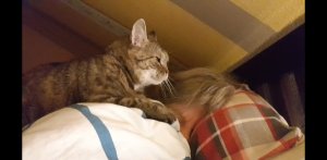 Screenshot_20210224-181027_Video Player.jpg