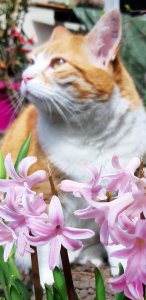 20210411_130012 (2).jpg