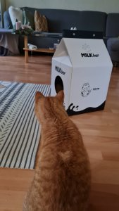 WhatsApp Image 2022-01-11 at 14.31.50.jpeg