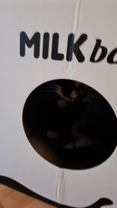 WhatsApp Image 2023-03-20 at 08.56.11.jpeg