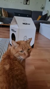 WhatsApp Image 2023-03-20 at 08.55.59.jpeg