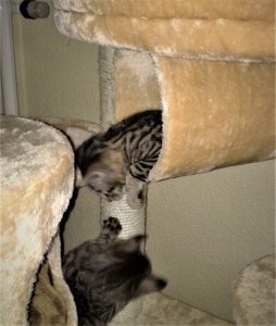 Maya und Thommy 31.01.2014 047.jpg