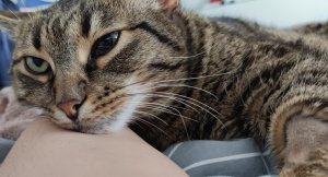 WhatsApp Image 2023-04-06 at 15.12.16 (4).jpeg