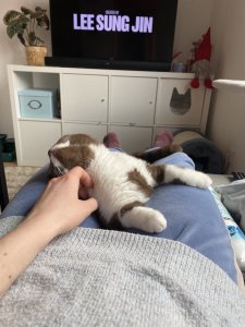 B91EB9E3-7EFE-4BDA-BB9D-6954907D6A4F.jpeg B91EB9E3-7EFE-4BDA-BB9D-6954907D6A4F.jpeg