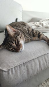 WhatsApp Image 2023-04-09 at 23.00.53.jpeg