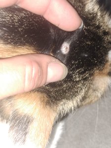 20230423_085832_copy_690x920.jpg 20230423_085832_copy_690x920.jpg