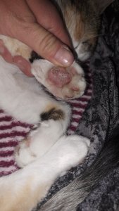 IMG-20220924-WA0000.jpeg IMG-20220924-WA0000.jpeg