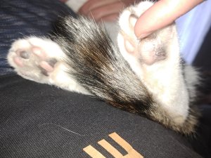 20230423_081136_copy_877x657.jpg 20230423_081136_copy_877x657.jpg