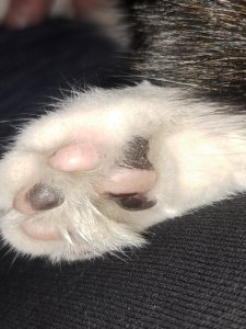 20230423_081348_copy_678x905.jpg 20230423_081348_copy_678x905.jpg