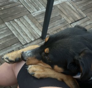 49D2E4DE-2928-4039-9F3F-EBA37528A7E3 2.jpg