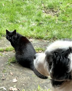 IMG_1557.jpeg IMG_1557.jpeg