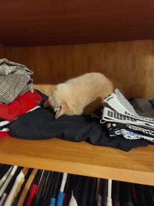 IMG-20230705-WA0001.jpg IMG-20230705-WA0001.jpg