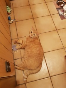 20230706_001024.jpg 20230706_001024.jpg